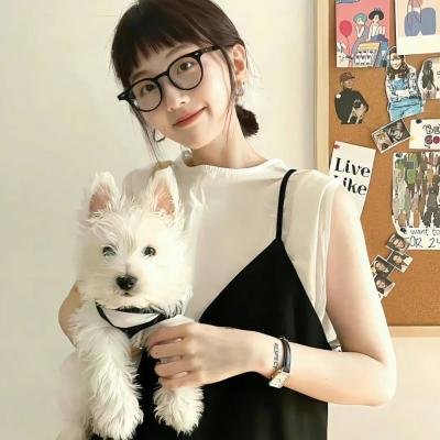 龙种 海报